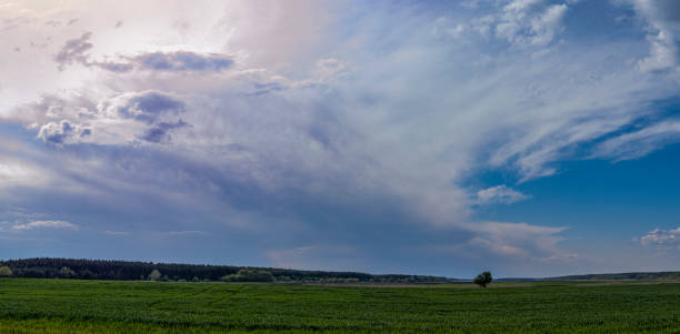 istock Panoramic view dramatic sunset sky over agriculture field. Dramatic countryside landscape with thunderclouds in the sky over a wheat field. 1240400053