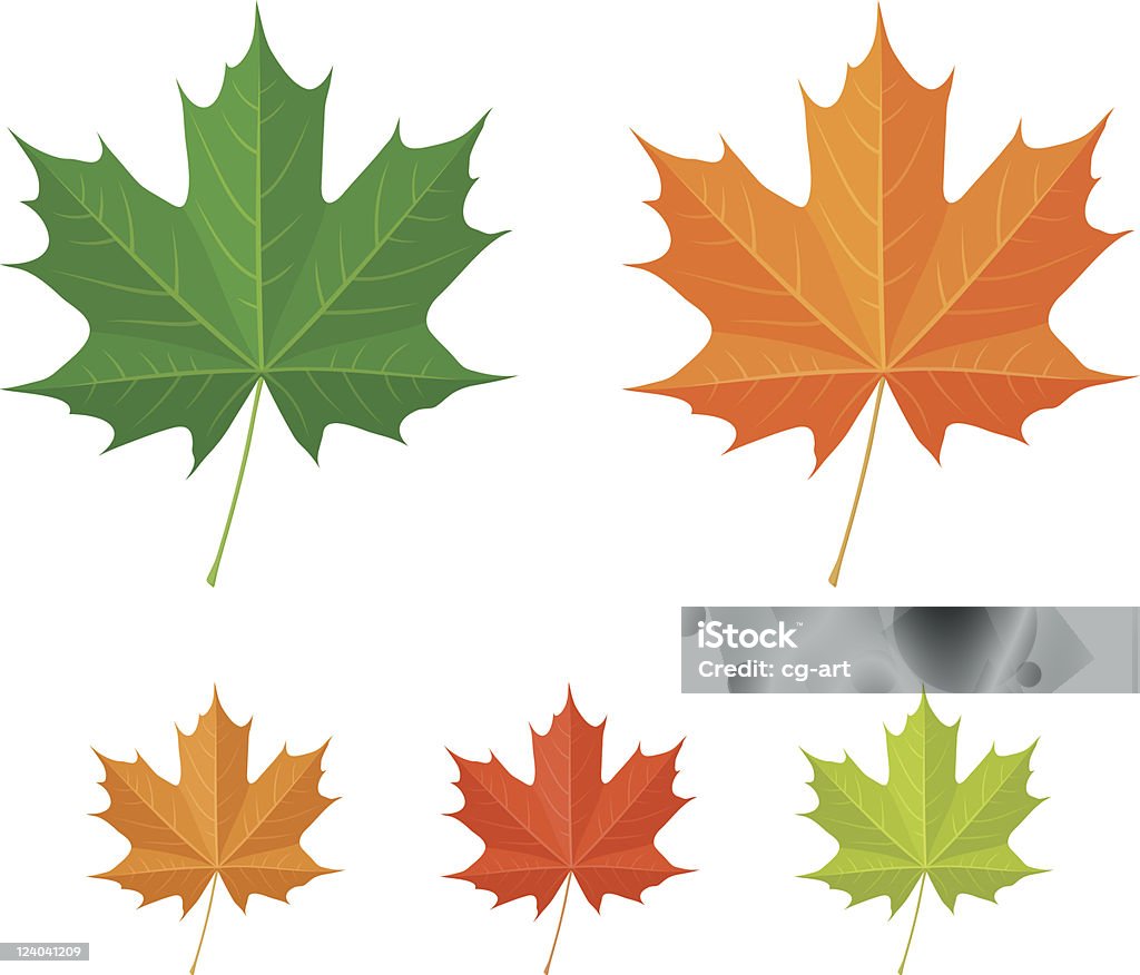 メープルの葉-ベクトルアイコン - かえでの葉のロイヤリティフリーベクトルアート