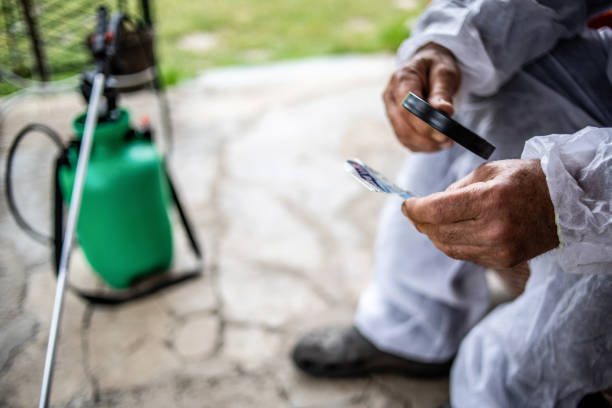 istock The farmer reads the instructions for spraying the fruit against parasites 1240424830