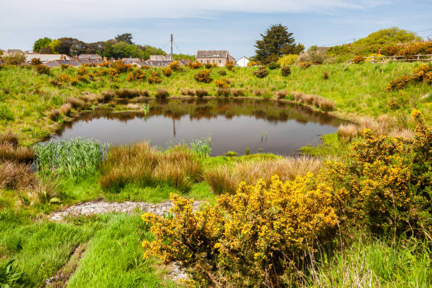 Pool on the red river and Valley at Tuckingmill near Camborne Cornwall UK Europe