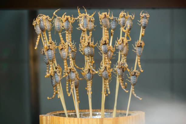 Scorpion skewers, live scorpion studded on a skewer stick. Scorpion skewers, live scorpion studded on a skewer stick. wangfujing stock pictures, royalty-free photos & images