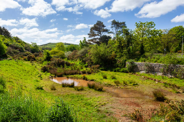 A wide bog north of Postbridge in a remote part of the moor