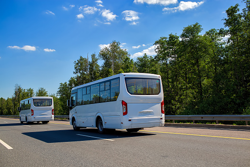 two new white minibuses ride in a convoy along the highway on a sunny day in summer. close up, back view