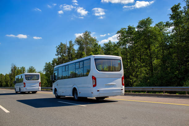 two new white minibuses ride in a convoy along the highway on a sunny day in summer. close up, back view stock photo