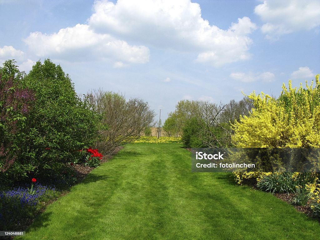 Frühling Eindruck - Lizenzfrei Forsythien Stock-Foto