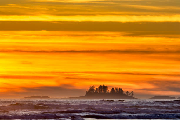istock Vancouver Island British Columbia 1240511327
