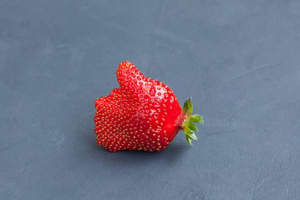 Unusual fresh organic strawberries. Like symbol (Thumb up). Red juicy berry on a blue background, copy space. Concept - Eating ugly fruits and vegetables Unusual fresh organic strawberries. Like symbol (Thumb up). Red juicy berry on a blue background, copy space. Concept - Eating ugly fruits and vegetables. awful taste stock pictures, royalty-free photos & images
