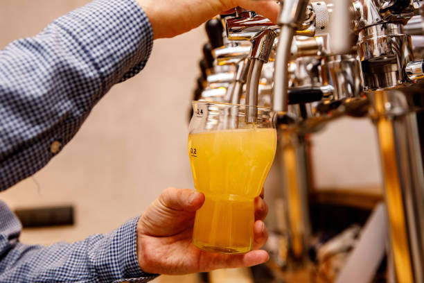 istock The bartender pours fresh light beer from the tap in the pub. 1240551569