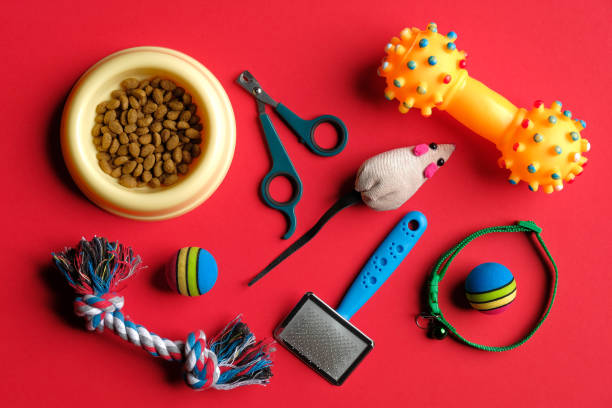 istock Pet care and training concept. Flat lay composition with accessories for dog and cat on red background. 1240551606