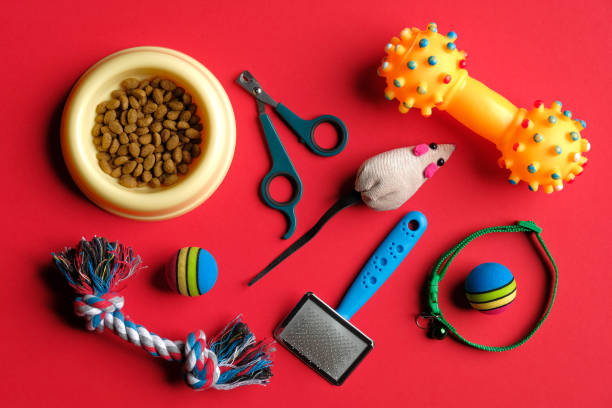 Pet care and training concept. Flat lay composition with accessories for dog and cat on red background. Pet care and training concept. Flat lay composition with accessories for dog and cat on red background. pet shop photos stock pictures, royalty-free photos & images