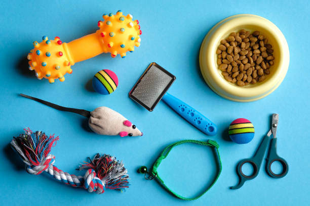 istock Pet care and training concept. Flat lay composition with accessories for dog and cat on blue background. 1240551607