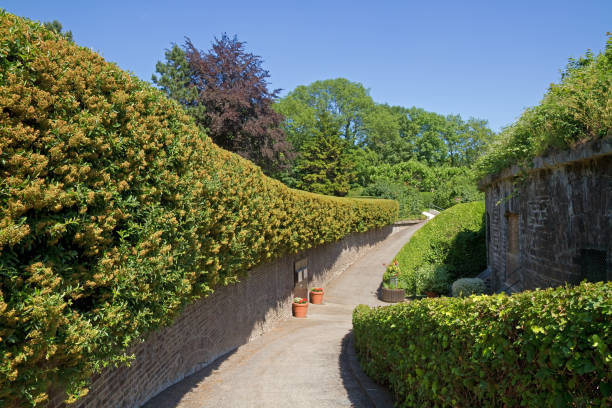 istock Park of Roses in Cologne 1240584780