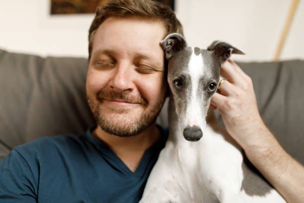 istock Dog and man portrait 1240594600