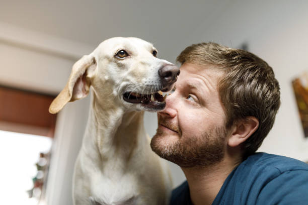 istock Man smiling and looking at his dog 1240594611