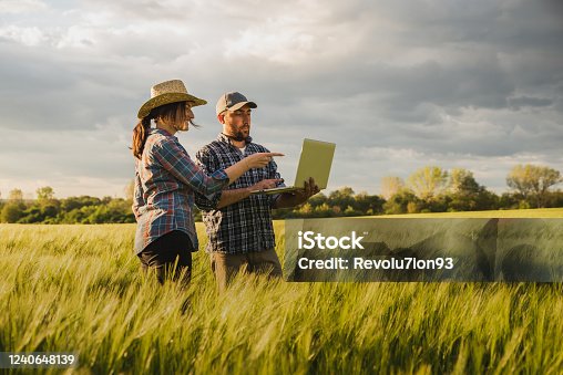 istock Young male and young female farmer with laptop standing in a field examining the crops 1240648139