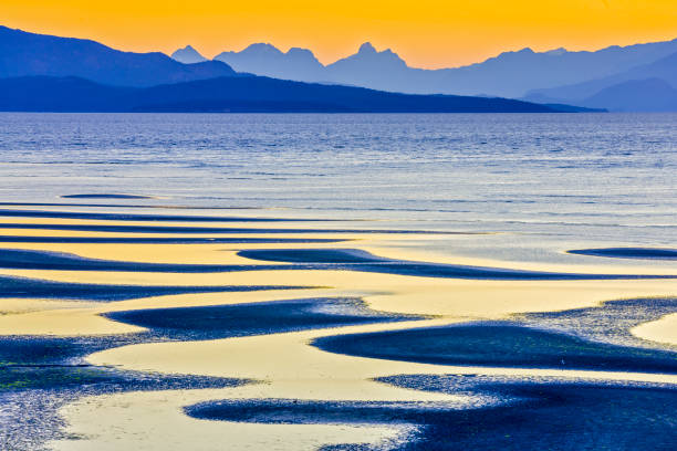 istock Vancouver Island British Columbia 1240660204