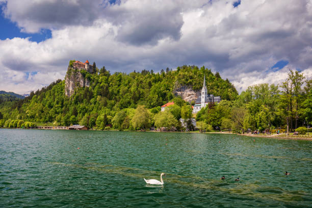 erstaunliche sonnige landschaft von schloss bled und st. martinskirche und bled stadt mit reflexion im see und den julischen alpen im hintergrund. bled lake, slowenien. - julian alps mountain lake reflection stock-fotos und bilder