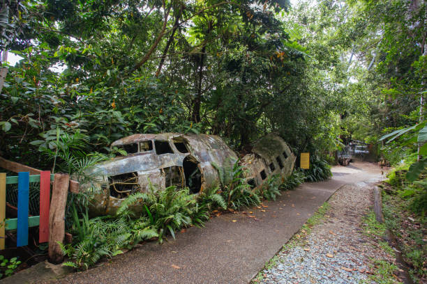 istock Kuranda Township in Queensland Australia 1240714000