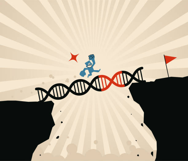 Blue man running fast along big Genetic engineering bridge to cross over the cliff to get to the red flag. Genetic engineering, GMO and Gene manipulation concept Genetic engineering vector art illustration.
Blue man running fast along big Genetic engineering bridge to cross over the cliff to get to the red flag. Genetic engineering, GMO and Gene manipulation concept. gene editing stock illustrations