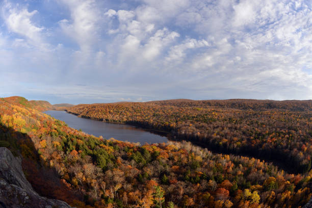 istock Forest in Michigan state, USA 1240870294