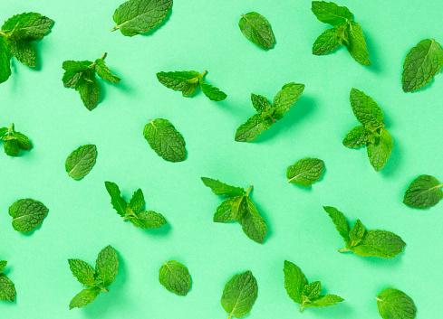 Imágenes de Fondo Verde Menta | Descarga imágenes gratuitas en Unsplash Imágenes de Fondo Verde Menta | Descarga imágenes gratuitas en Unsplash