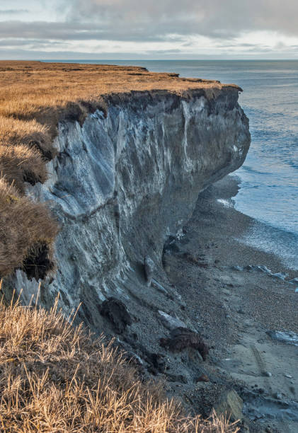 in geologia, il permafrost o terreno criotico è terreno a o sotto il punto di congelamento dell'acqua 0 ° c (32 ° f) per due o più anni. la maggior parte del permafrost si trova ad alte latitudini. il permafrost sovrascrivono è un sottile strato attiv - north slope foto e immagini stock