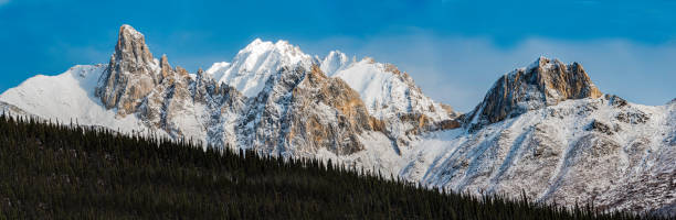 kuvapankkikuvat ja rojaltivapaat kuvat aiheesta snowden-vuori dalton highwayn varrella, brooks range, alaska - brooks range alaska