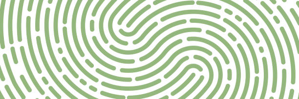 ilustrações de stock, clip art, desenhos animados e ícones de fingerprint background. unicum finger print - track vector individuality thumbprint