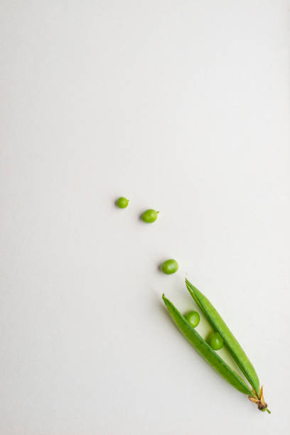 La gousse de pois est sur un fond blanc. - Photo