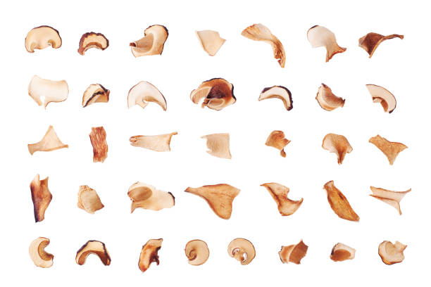 흰색 배경에 설정 식용 말린 버섯 가까이 고립, 건조 boletus edulis, 다진 갈색 모자 boletus, 슬라이스 페니 롤빵, cep의 조각, 포르시노 또는 포르치니, 잘라 흰색 곰팡이 상단 보기 - yellow boletus 뉴스 사진 이미지