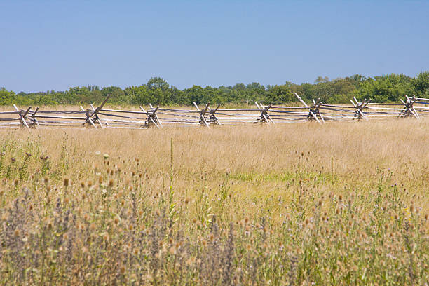 Spilt Rail Fence in Open Field