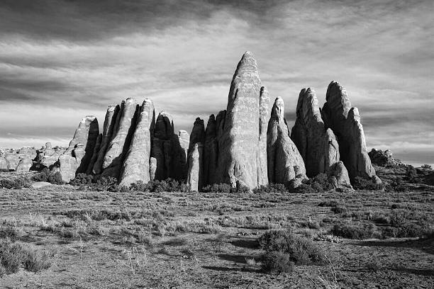 istock Fins in Arches National Park 124103909
