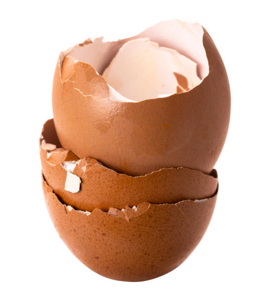 Egg shell cracked, Chicken egg shells isolated on white background with clipping path Egg shell cracked, Chicken egg shells isolated on white background with clipping path eggshell stock pictures, royalty-free photos & images