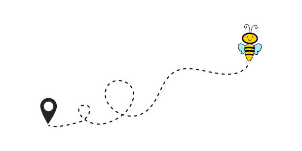 Flying Bee with Dotted Route. Flying Bee with Dotted Route. dotted line stock illustrations