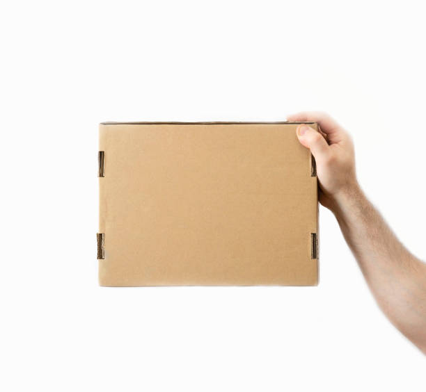 istock man's hand feeds the boxe. White background. delivery concept. 1241094927