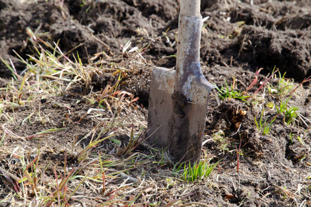 istock a shovel stuck in the ground. close-up 1241095081