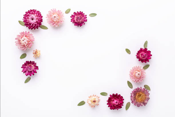 istock Mock up. Eucalyptus leaves and dry flowers on white background 1241134527