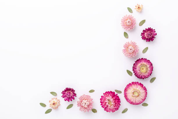 istock Mock up. Eucalyptus leaves and dry flowers on white background 1241134531