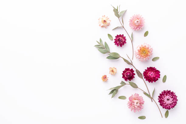 istock Flower composition. Eucalyptus branches and dry flowers on white background. Flat lay. Top view. Copy space 1241135107