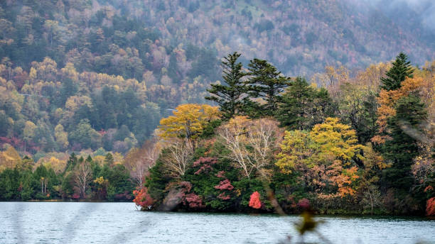 istock Autumn lake moods 1241165157