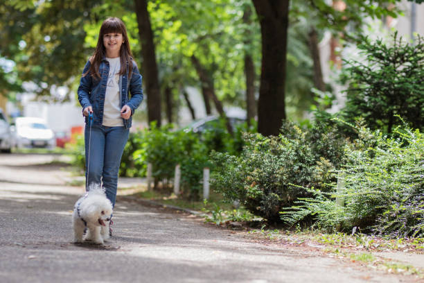 istock Girl taking her Bichon puppy for a walk 1241191736