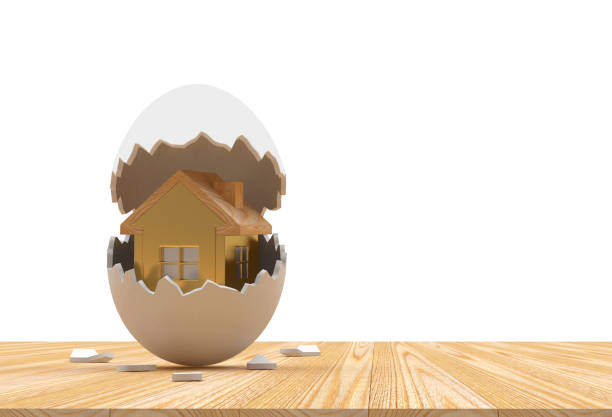 istock Golden house icon in the inside of a broken egg 1241199786