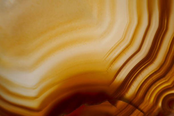 istock Agate brown slice texture. Stone agate macro background.Abstract natural background in brown tones. 1241200327