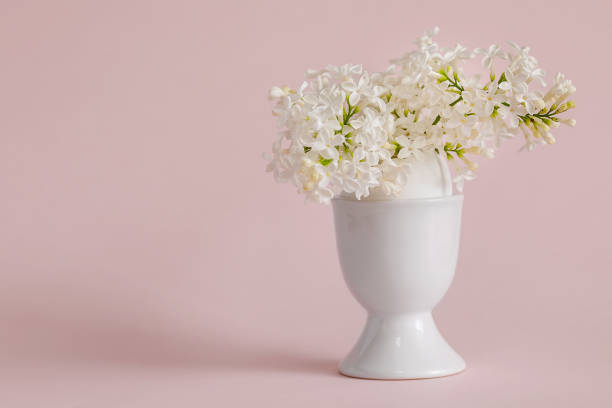 istock White lilac in a white vase 1241223025