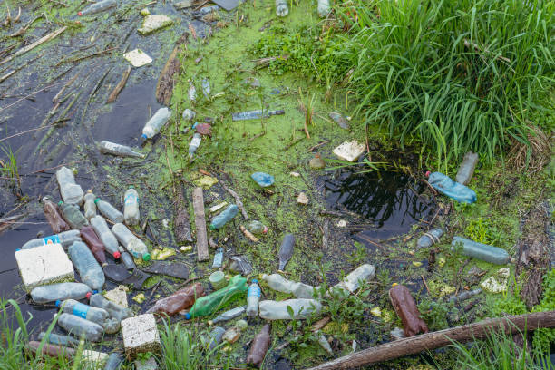 istock Water pollution. Plastic trash floats in the river. 1241289753