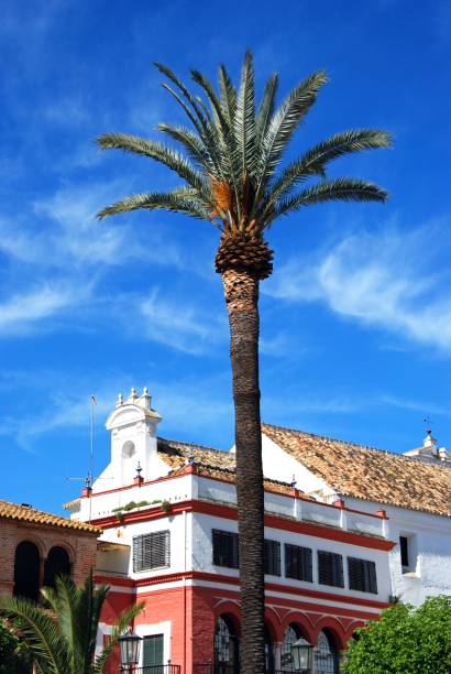 istock San Fernando square, Carmona, Spain. 1241295058