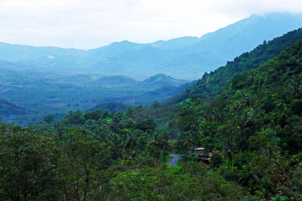 istock green western ghats 1241321674
