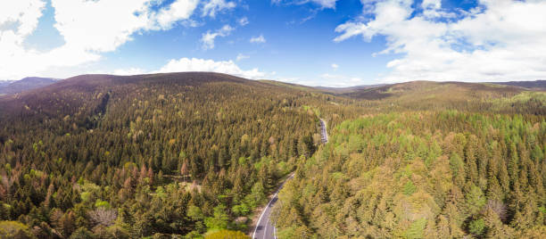 360 degrees spherical panoramic aerial view of beautiful mountains covered with green forest