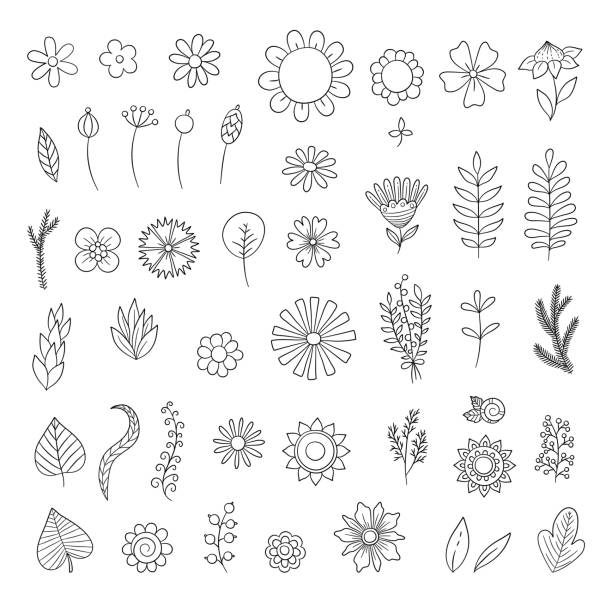 Flowers doodle. Simple floral botanical collection leaves flowers branches vector organic nature symbols for wedding cards design Flowers doodle. Simple floral botanical collection leaves flowers branches vector organic nature symbols for wedding cards design. Illustration flower linear drawing, blossom spring plant flower drawings stock illustrations