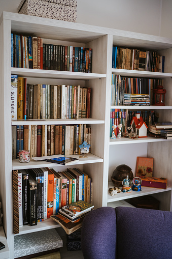 Books and decorations on a book shelf